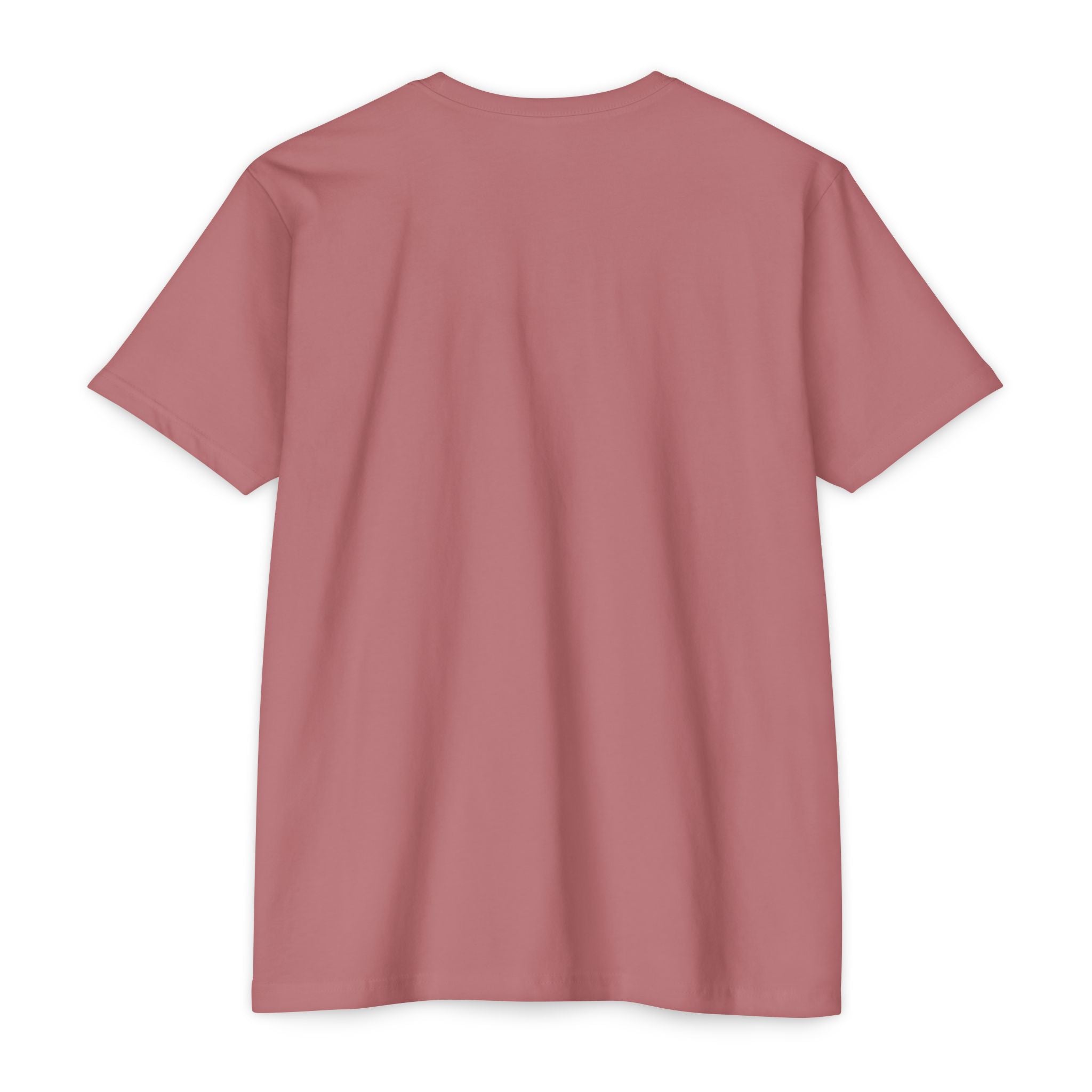 Pickleball Sunset Tee — Vintage Japanese Pickleball Graphic T-Shirt